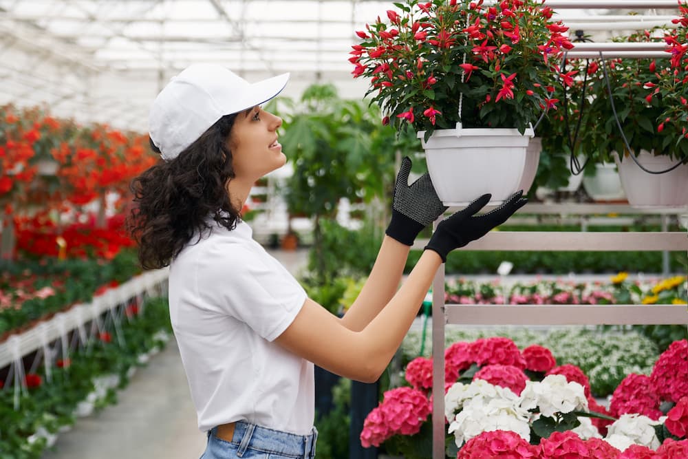 工業平板電腦廠家助力荷蘭花卉產業向智能轉型升級